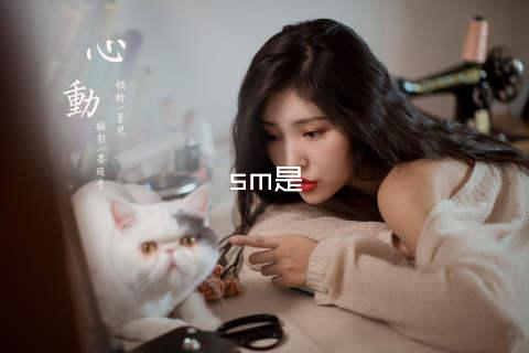 sm是